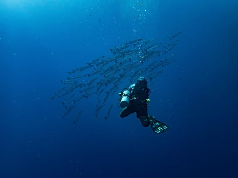 Snorkeling Kits